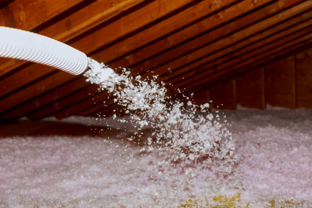 Best Spray Foam Insulation  in Ravenna, NE