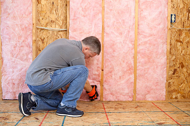 Best Insulation Installation Cost  in Ravenna, NE