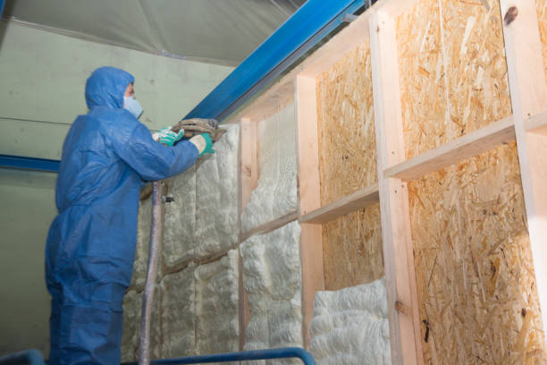 Best Soundproof Insulation Installation  in Ravenna, NE